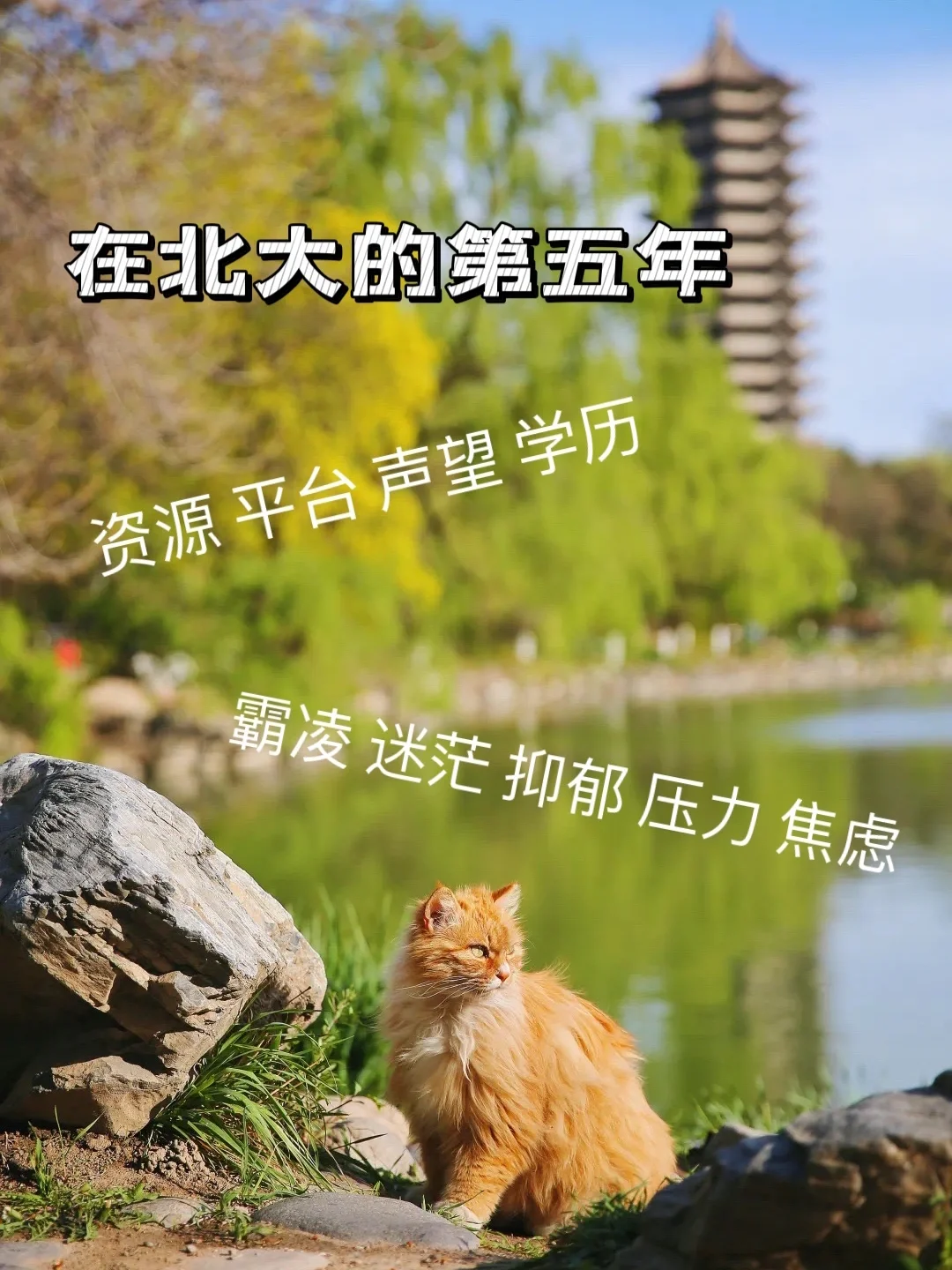 CBUAL官方公布今日MVP为帮助北大拿下队史第五冠(acc文件改为mp3格式)