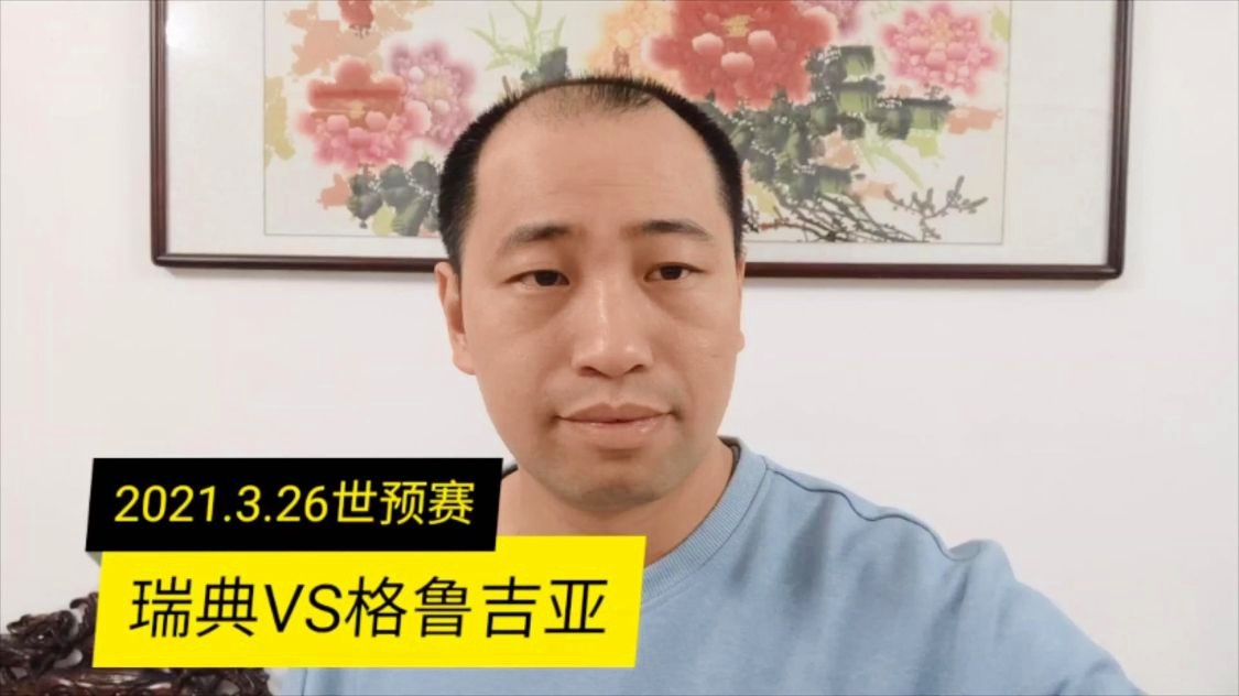 AG体育-瑞典大胜格鲁吉亚，积分榜稍有上升(瑞典对格鲁吉)